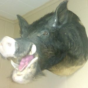 Meet your Posher, Vincent